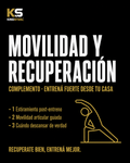 Movilidad y Recuperación — Kingsteel